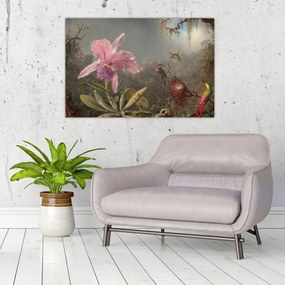 Obraz - Martin Johnson Heade, Cattleya Orchid and Three Hummingbirds, reprodukcia (90x60 cm)