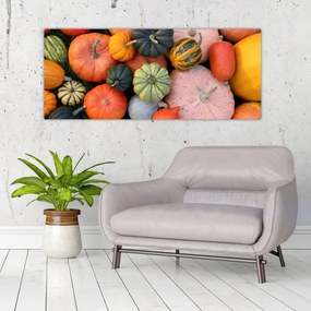 Obraz - Tekvica (120x50 cm)