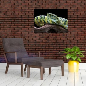 Sklenený obraz - Štrkáč Waglerov (70x50 cm)