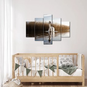Obraz labute (150x105 cm)
