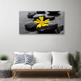 Obraz Canvas Kvet kamene rastlina kúpele 140x70 cm