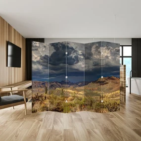 Paraván - Kaktusy v prírode (210x170 cm)