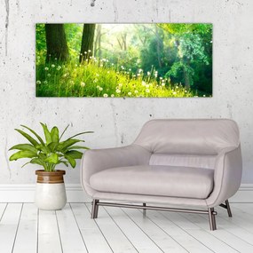 Obraz - Magická lúka plná púpav (120x50 cm)