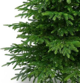 Smrek Beskydský 100% 3D- 225cm