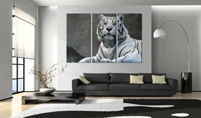 Artgeist Obraz - White tiger Veľkosť: 90x60, Verzia: Na talianskom plátne