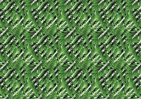 Fototapeta - List (254x184 cm)