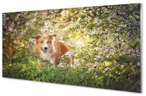 Sklenený obraz Psie lesné kvety 100x50 cm