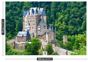 Fototapeta Vliesová Stredoveký hrad 104x70 cm