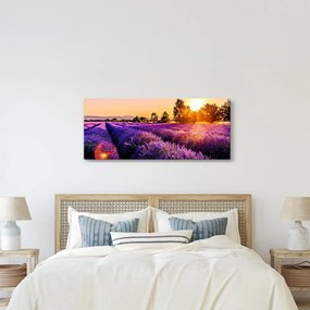 Obraz levanduľového pole, Provence (120x50 cm)