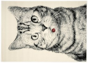 Alfa Carpets, Kusový koberec Cat grey, 80x120, šedá, detská izba