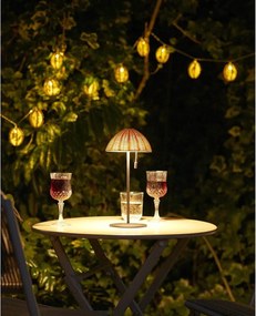 LED svetelná reťaz počet žiaroviek 10 ks na baterky dĺžka 180 cm Carlisle – House Nordic