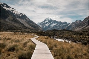 Obraz - Chodník v údolí hory Mt. Cook (90x60 cm)