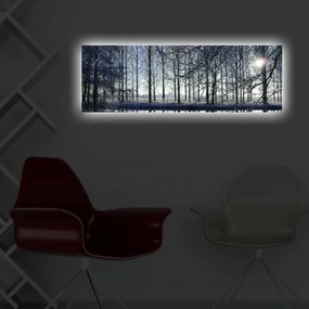 Maľba s LED osvetlením ZIMNÁ KRAJINA 37 30 x 90 cm
