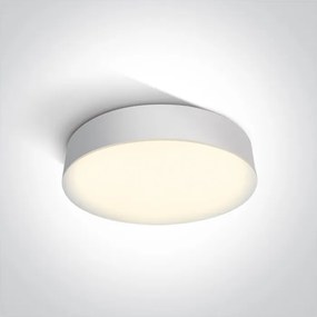 Vonkajšie stropné svietidlo ONE LIGHT ext. stropné svietidlo 67390/W/W