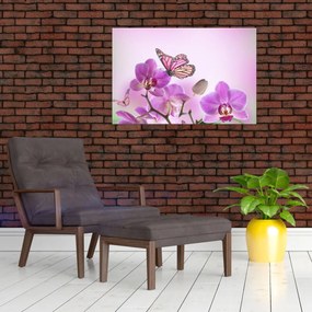 Obraz - Motýľ na kvetoch orchidey, lila (90x60 cm)