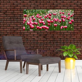 Obraz tulipánov (120x50 cm)