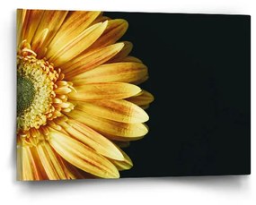 Sablio Obraz Žltá gerbera - 60x40 cm