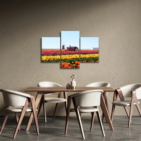 Obraz tulipánové farmy (90x60 cm)