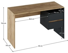 PC stolík Titanes (dub artisan + grafit) . Vlastná spoľahlivá doprava až k Vám domov. 1116532