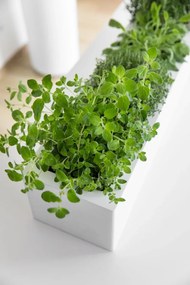 Balkónový hrantík FLOBO, sklolaminát, šírka 80 cm, biely mat