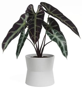 Keramický kvetináč ø 20 cm Diana – Artevasi