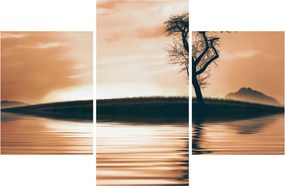 Obraz stromu na ostrove (90x60 cm)