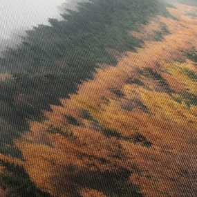 Obraz - Jesenný les (90x60 cm)