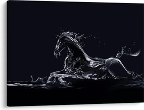 Obraz - Kôň a voda (70x50 cm)