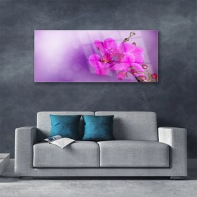 Obraz plexi Kvety plátky orchidea 125x50 cm