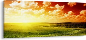 Obraz letnej lúky (120x50 cm)