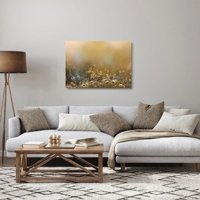 Sklenený obraz - Olejomaľba sedmokrások (70x50 cm)