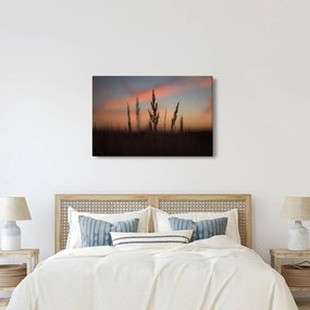 Obraz - Silueta rastliny (90x60 cm)