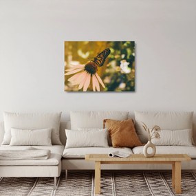 Sklenený obraz motýľa na kvetine (70x50 cm)
