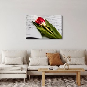 Obraz červeného tulipánu (90x60 cm)