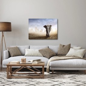Obraz - Sloníčka vo veľkomeste (70x50 cm)