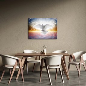 Obraz holubice (70x50 cm)
