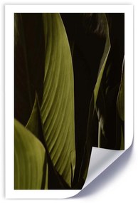 Gario Plagát Zelené listy trópov Farba rámu: Bez rámu, Veľkosť: 30 x 45 cm