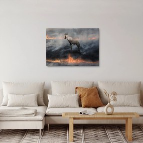 Obraz kamzíka v ohni (70x50 cm)