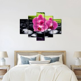 Obraz - Ružové orchidey s palmovým listom (150x105 cm)