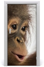 Samolepiace fototapety na dvere mladý orangutan 85x205 cm
