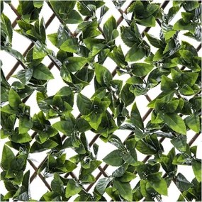 MI Balkónová zástena WIERZBA LAUROWA