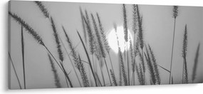 Obraz - Lúka pri západe slnka (120x50 cm)