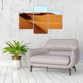 Obraz - Stopy v púšti (90x60 cm)