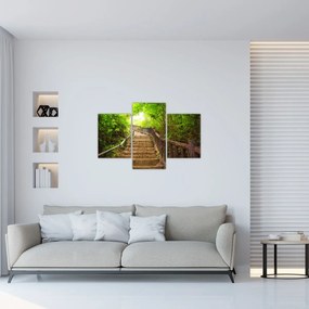 Obraz - Schody v prírode (90x60 cm)