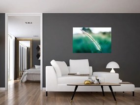 Obraz steblá trávy (90x60 cm)