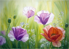 Sklenený obraz - Vlčie maky (70x50 cm)
