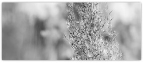 Obraz - Boho pampas grass (120x50 cm)