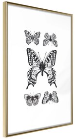 Artgeist Plagát - Five Butterflies [Poster] Veľkosť: 30x45, Verzia: Čierny rám s passe-partout