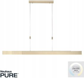 Závesné svietidlo Paul Neuhaus Pure Moto e-SLIDE mosadz 120-200 cm, Cct, diaľk