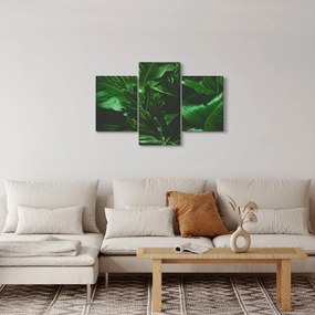 Obraz - Palmové listy (90x60 cm)